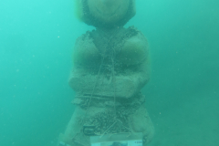 2017 Attersee Unter Wasser (19)