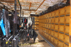 2018 Marsa Alam (29)