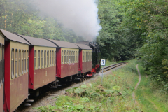 Nordhausen (113)