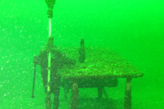 2024-Geiseltalsee-11
