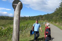 2024-Weinbergswanderung-07