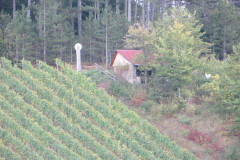 2024-Weinbergswanderung-12
