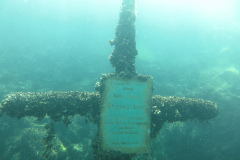 2025-Attersee-Tauchen-05