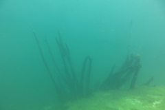 2025-Attersee-Tauchen-07