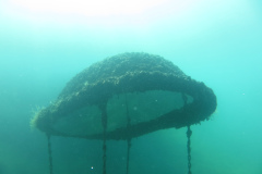 2025-Attersee-Tauchen-09