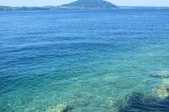 2025-Attersee-Tauchen-24