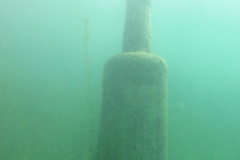 2025-Attersee-Tauchen-34
