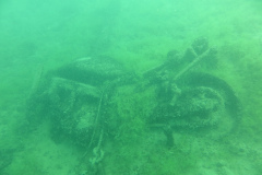2025-Attersee-Tauchen-42