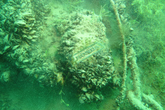 2025-Attersee-Tauchen-43