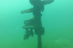 2025-Attersee-Tauchen-47