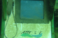 2025-Attersee-Tauchen-55