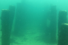 2025-Attersee-Tauchen-59