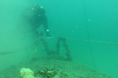 2025-Attersee-Tauchen-67