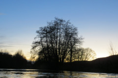 2025-Dreikoenigsschwimmen-16