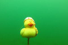 Leipzig-Schladitzer-See-12