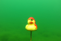 Leipzig-Schladitzer-See-13