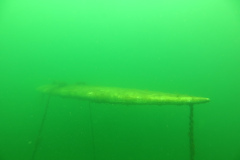 Leipzig-Schladitzer-See-21