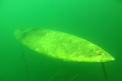 Leipzig-Schladitzer-See-22