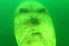 Leipzig-Schladitzer-See-23