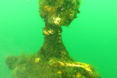 Leipzig-Schladitzer-See-25