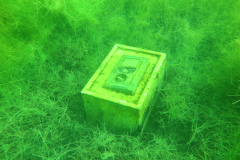 Leipzig-Schladitzer-See-35