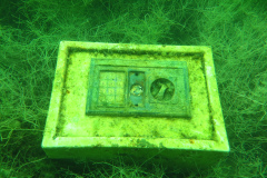 Leipzig-Schladitzer-See-36