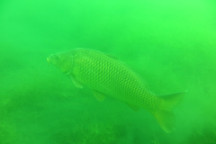 Leipzig-Schladitzer-See-37