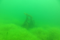 Leipzig-Schladitzer-See-44