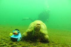 Leipzig-Schladitzer-See-53