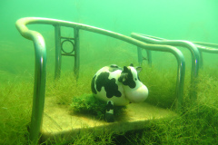 Leipzig-Schladitzer-See-55