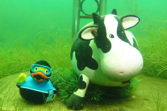 Leipzig-Schladitzer-See-56