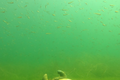 Leipzig-Schladitzer-See-59