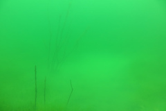 Leipzig-Schladitzer-See-62