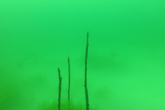 Leipzig-Schladitzer-See-63