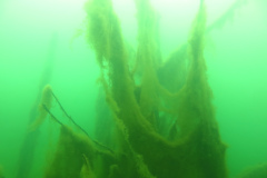 Leipzig-Schladitzer-See-65