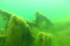 Leipzig-Schladitzer-See-66