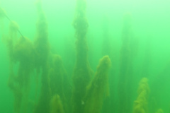 Leipzig-Schladitzer-See-67