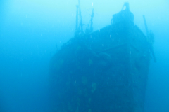 Bilder Gallerie (29)