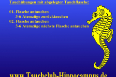 Übungen (5) Tauchübungen mit abgelegter Tauchflasche